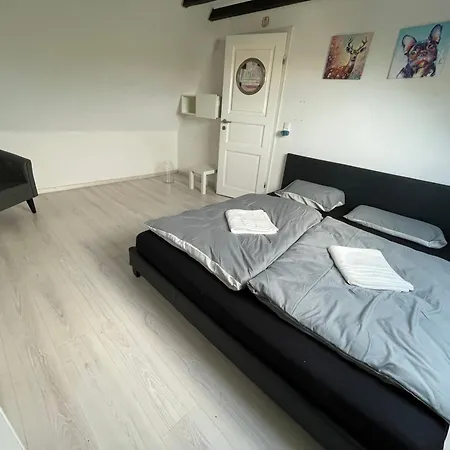 Appartement Kinzigtraum *