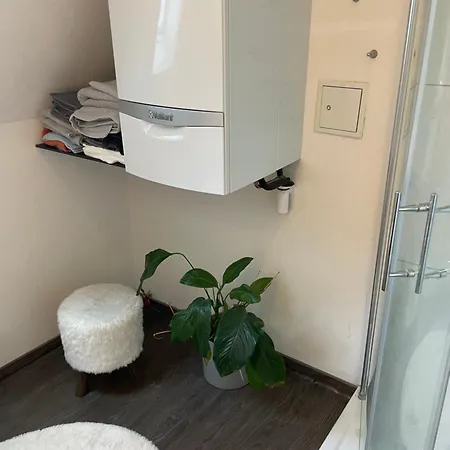 Appartement Kinzigtraum *